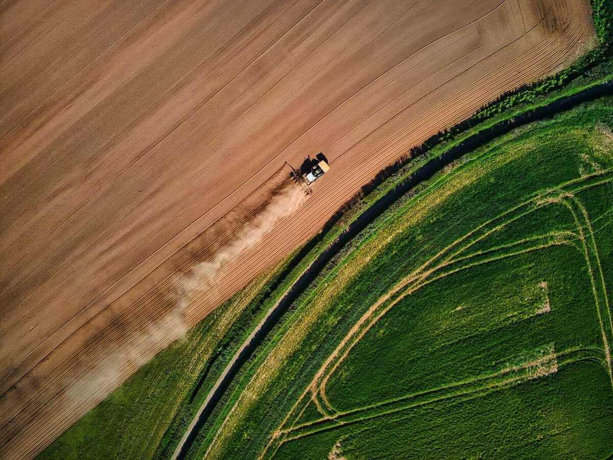 Vista aérea de drone sobre lavouras brasileiras mostrando sutis variações de cor