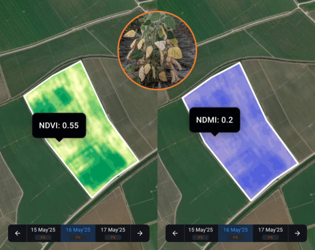 Overlay NDVI em cores falsas do talhão, com zonas saudáveis em verde e estresse em laranja/amarelo